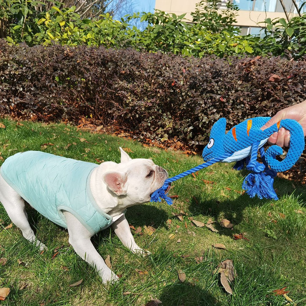Cameleon de plush, jucarie interactiva - Diversico