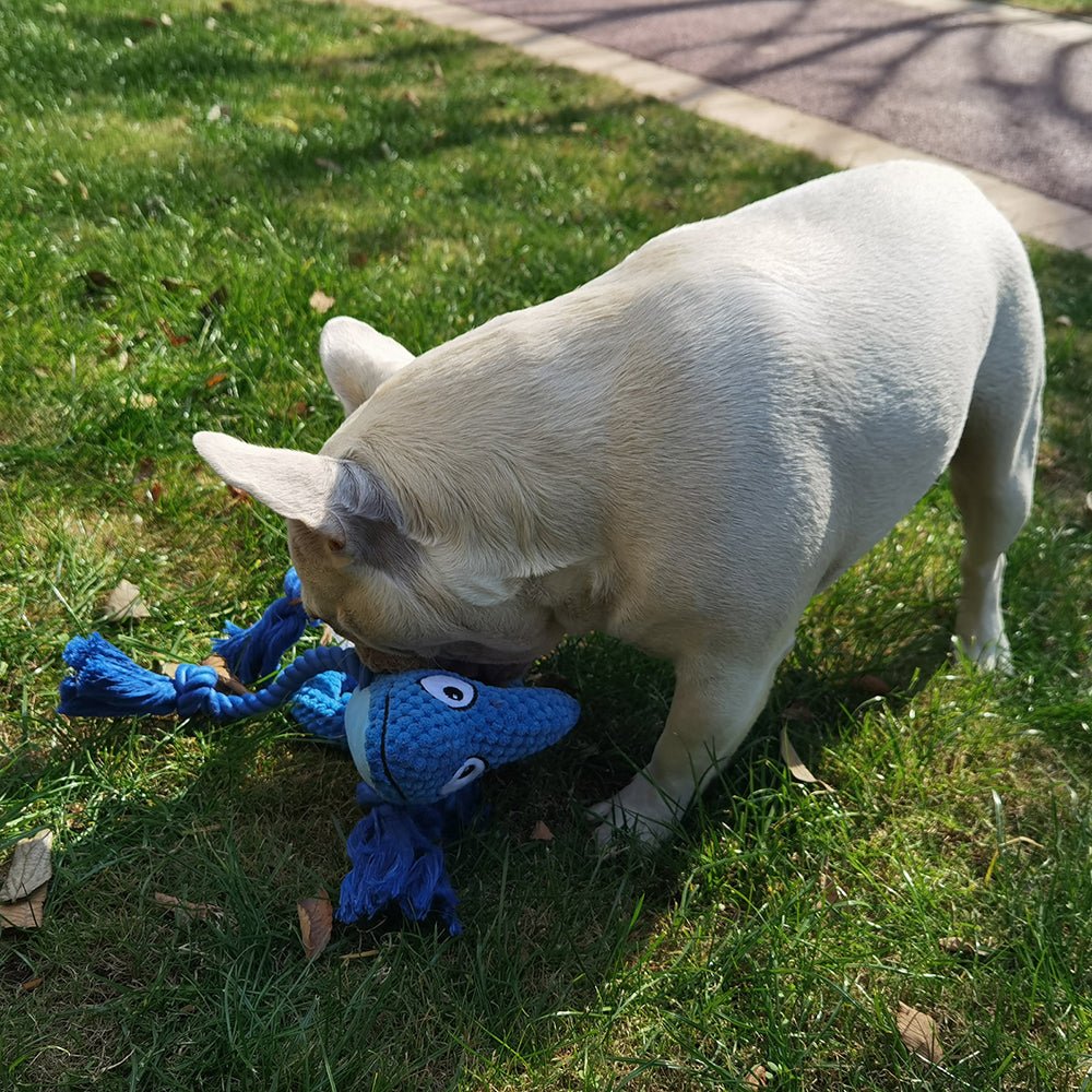 Cameleon de plush, jucarie interactiva - Diversico