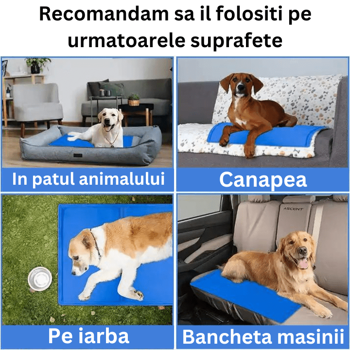 Covoras cu gel racoros pentru caini si pisici - Diversico