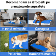 Covoras cu gel racoros pentru caini si pisici - Diversico